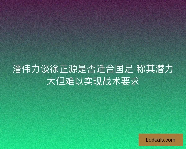 潘伟力谈徐正源是否适合国足 称其潜力大但难以实现战术要求